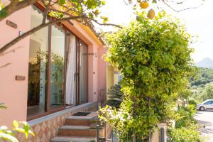 Home Lemon img44