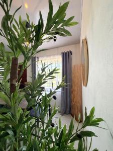 Apartamento 3, cerca de la playa, naturaleza y paz