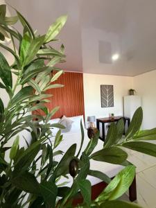 Apartamento 3, cerca de la playa, naturaleza y paz