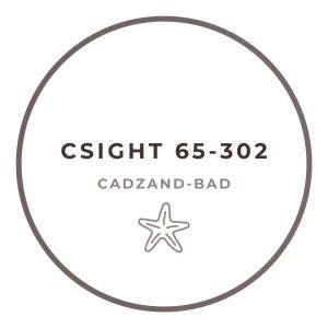 CSlGHT 65-302