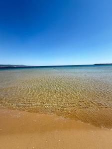 Amber Dunes