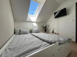 Main Square Olive Studio