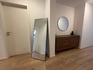 Modern Penthouse near Basel with Jacuzzi