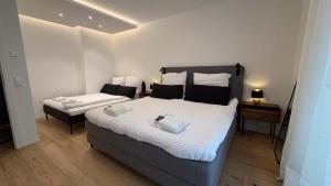 Modern Penthouse near Basel with Jacuzzi