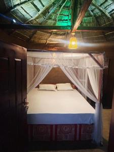 AAA Hostel and Clay Cabana