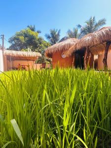 AAA Hostel and Clay Cabana