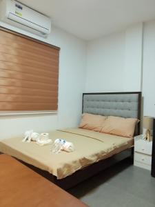 Axc cozy inn