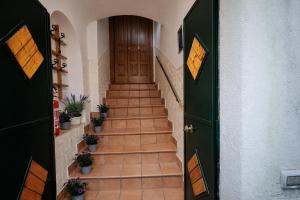 Danka House: central apartament