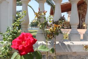 Charming finca with huge private pool Porto Cristo