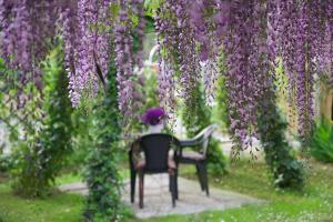 Il Giardino di Cristina B&B