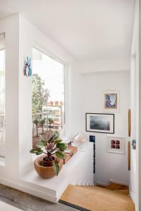 Imprensa Nacional Cozy and Comfort Apartment