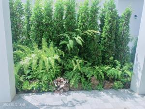 155 Floral New 2BR and Garden 10 min ride to Nimman