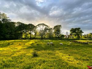 Omfaun farm stays & bed and breakfast
