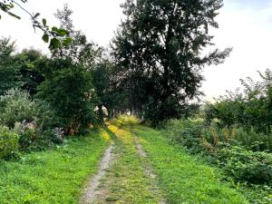 Omfaun farm stays & bed and breakfast