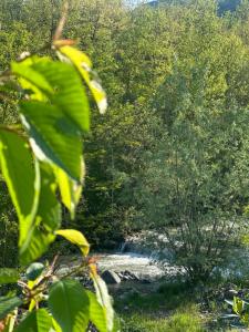 Le Boccede Country House B&B