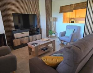 Spacious Apartment with Pool in Casares