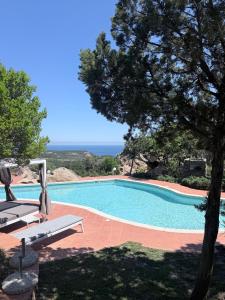 Villa Esmerea Portocervo con Piscina privata ,Jacuzi e Sauna