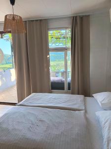 Studio apartman Belvedere