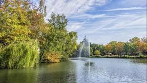 Appartement luxueux compans caffarelli parking privé gratuit jardin japonais 4 personnes