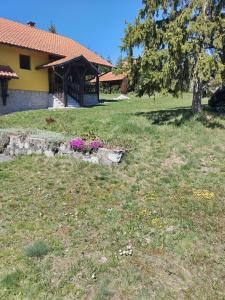 Vikendica Vodice Zlatibor
