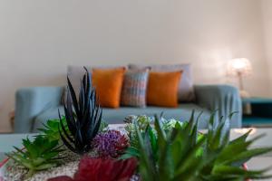 Casa Familiar I Piscina I Comodidad