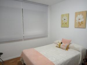 Piso Antonio Mestre