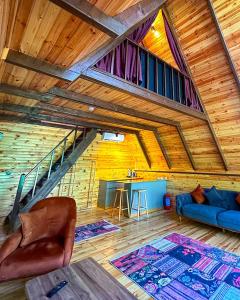 Vice Suit Bungalov