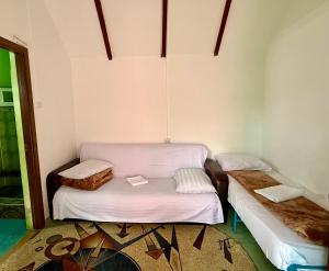 Camping Paradisul Soferilor