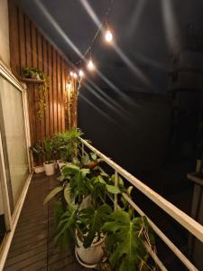 Century Old Hanoi Home Balcony View HoanKiem
