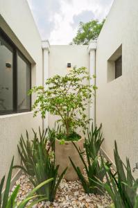 Spacious and elegant house in San Bernardino