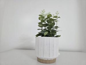 Oxford Exclusive Room Garden
