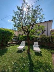 CASA CARLINA Pet Friendly