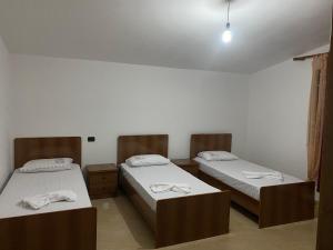 Spacious Villa Near Airport Tirana - Preza Area