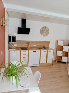 Appartement lumineux avec garage Chez Rose