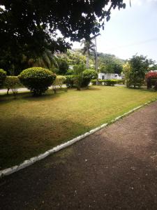 Sammys place