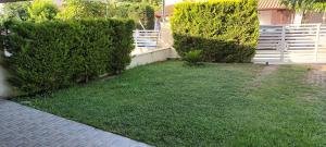 TATIANA HOUSE