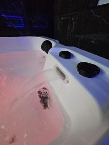 Love Room et Spa Privatif à Auxerre Jacuzzi, Sauna, Lit Rond, Terrasse et Netflix