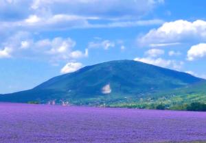 Hegyi panorámás Csillagos ház