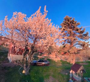 Hegyi panorámás Csillagos ház
