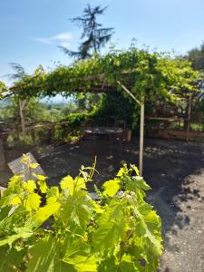 Villa Alta