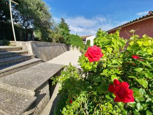 Villa Alta