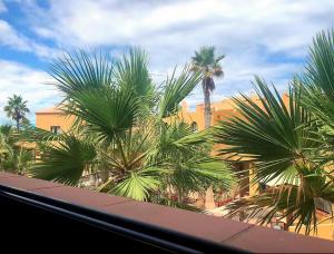 Island office with high speed internet & terrace