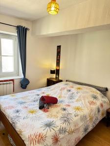 L Escale du Monde Appartement 1 chambre