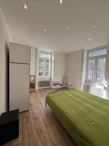 Apartment in Historic Villa