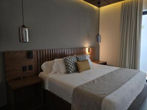 Hotel Agua de Plata
