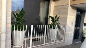 Cerchio di Luce