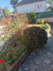 Havre de paix indépendant avec jardin & 2 chambres