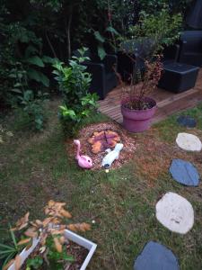 Havre de paix indépendant avec jardin & 2 chambres