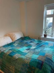 Townhouse appartment with two cuddly cats in the center of Elsingore close to beach and Hamlets castle