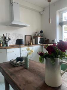 Townhouse appartment with two cuddly cats in the center of Elsingore close to beach and Hamlets castle